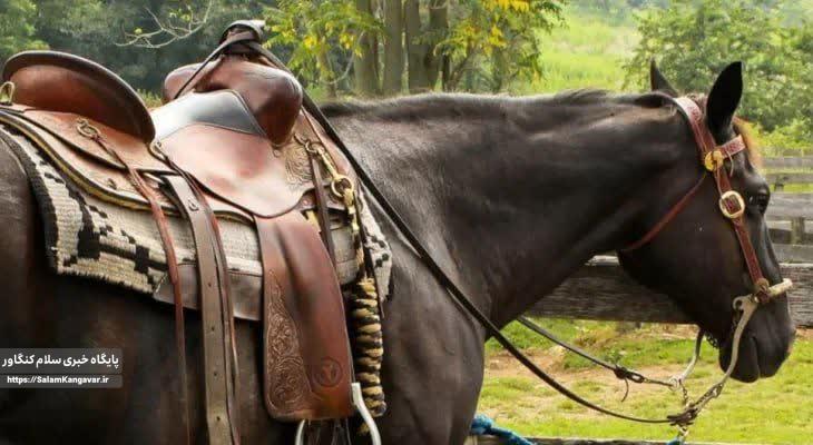 غفلت مسئولان کرمانشاهی از ثبت ملی هنر سراجی