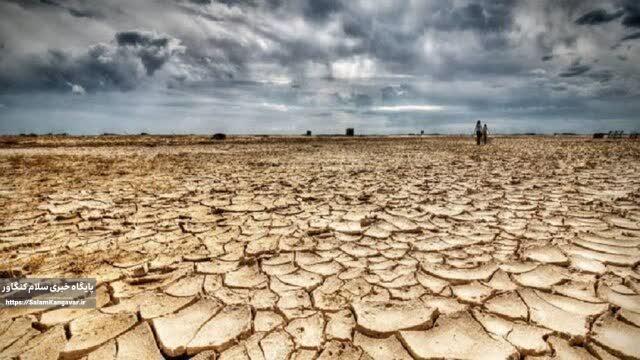 گول بارش های خوب امسال را نخوریم