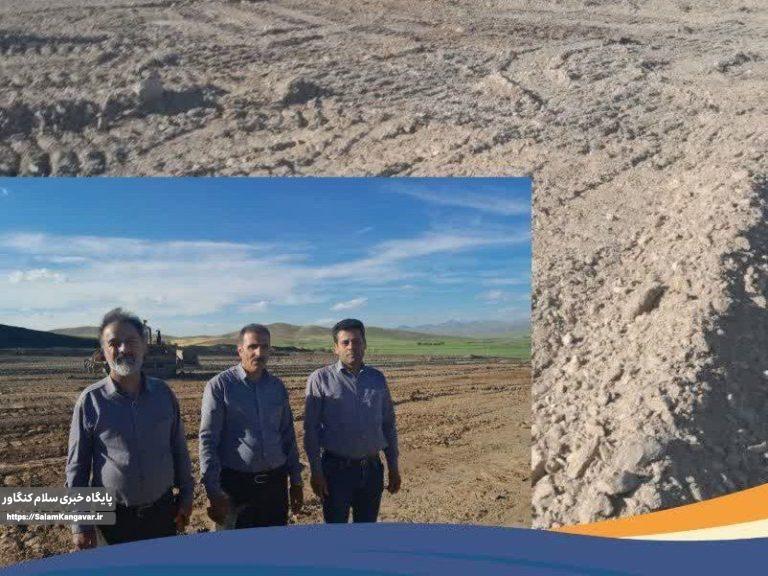 احداث گاوداری شیری در کنگاور