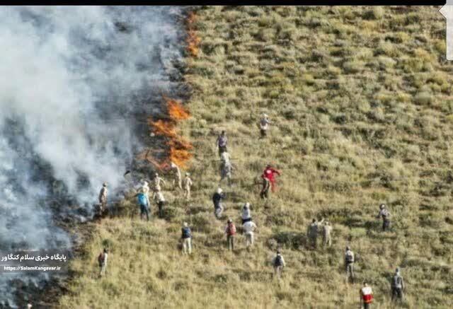 درخواست کمک مردمی برای مهار آتش در “بلبزان”