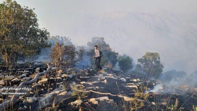 آتش “بوزین و مره خیل” بعد از ۴ روز مهار شد