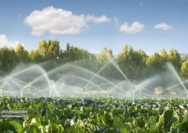 اراضی زراعی و باغات را «غروب» آبیاری کنید