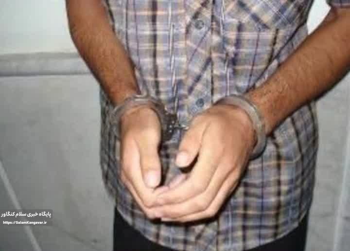 کشف ۵ فقره سرقت در کنگاور