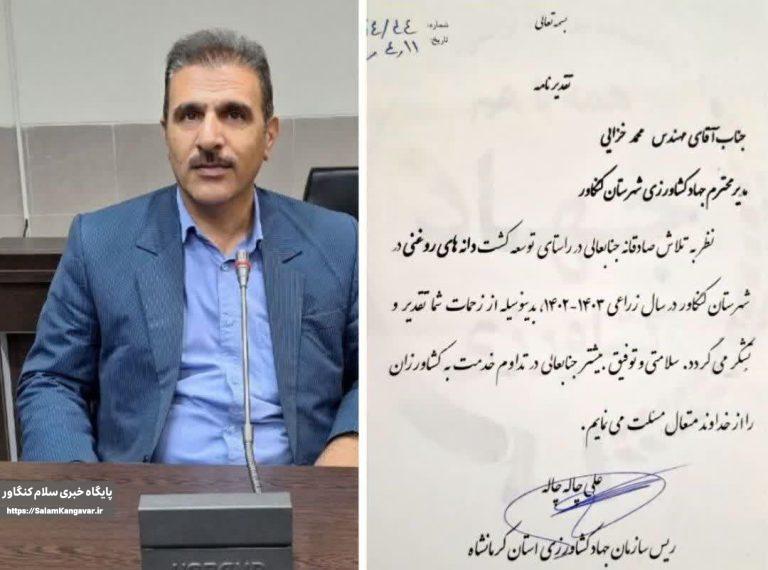 کنگاور در تولید دانه های روغنی اول شد