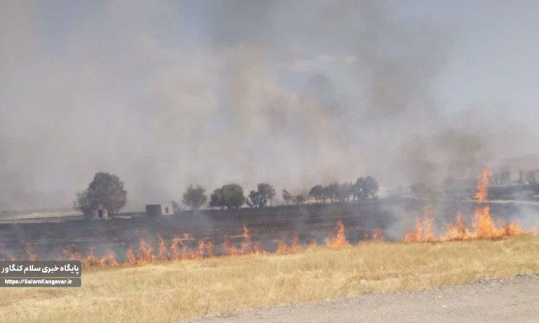 دود “جارسوزی” کشاورزان در چشم مردم کنگاور