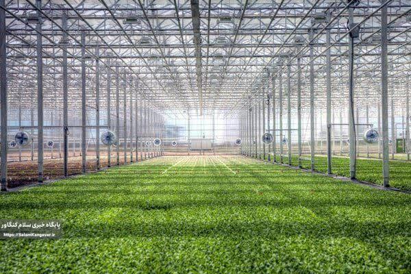 افتتاح ۳۳ پروژه بخش کشاورزی کرمانشاه در هفته دولت