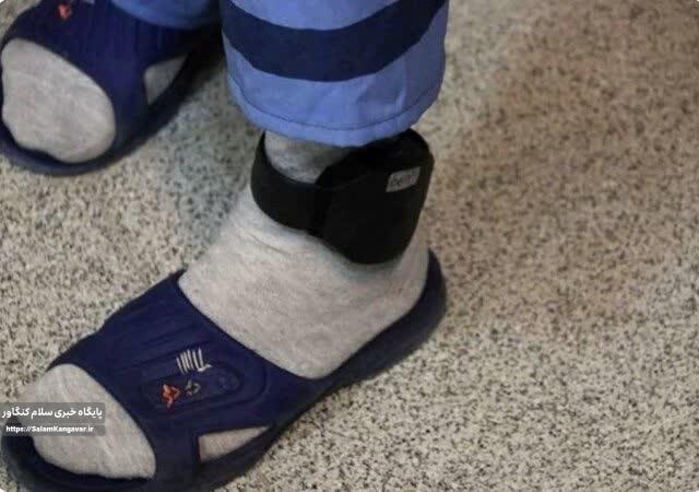 نصب پابند الکترونیکی بر پای ۱۰۰ سارق حرفه ای در کرمانشاه