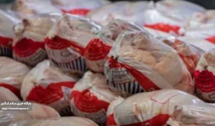 روزانه ۱۲۰ تن مرغ در کرمانشاه توزیع میشود