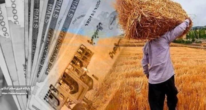 مطالبات گندمکاران کرمانشاهی کامل پرداخت شد