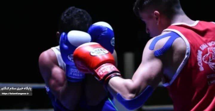 درخشش هیأت بوکس کرمانشاه در مدالآوری