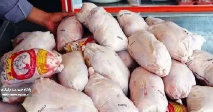 عرضه مرغ زنده عامل گرانی بازار مرغ اسلامآبادغرب