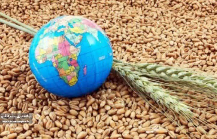 امنیت غذایی ابزاری کلیدی در حفظ استقلال ملی