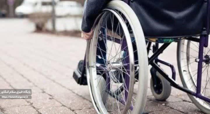 کرمانشاه ۴۶ هزار معلول دارد