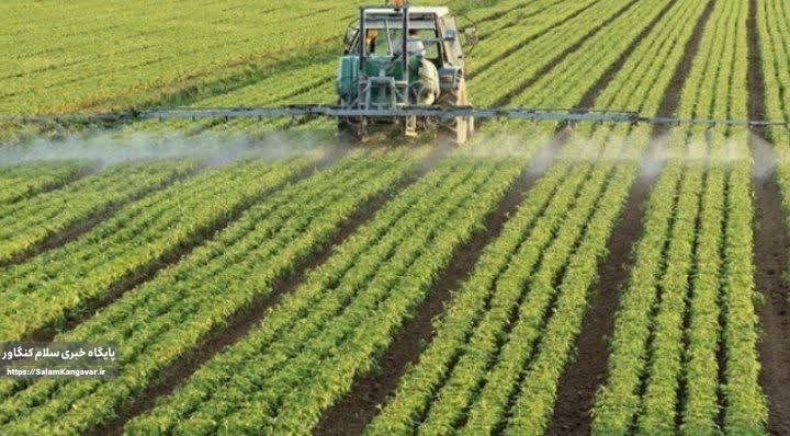 سند اراضی با کاربری کشاورزی صادر میشود