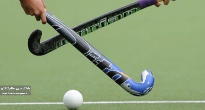 افت شمار بیمهشدگان هیأت هاکی در کرمانشاه