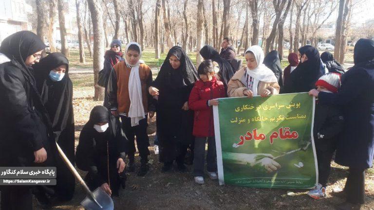 کاشت ۵۰ اصله نهال در کنگاور