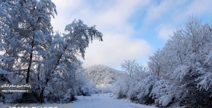 وضعیت دما و بارش کشور تا اواسط بهمن ماه