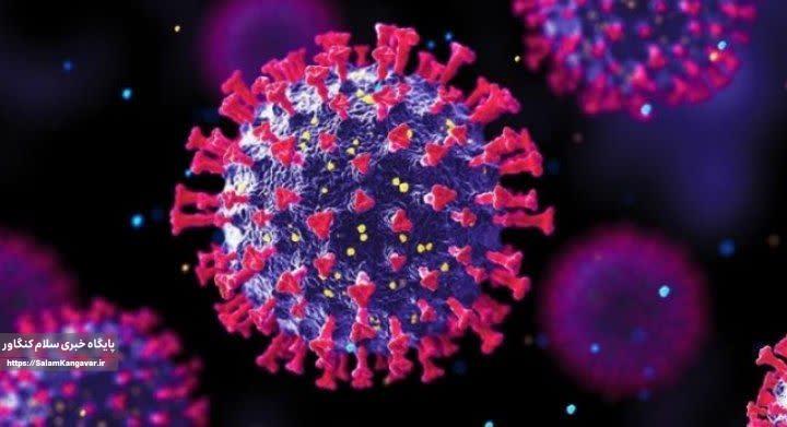 تداوم شیوع آنفلوآنزا تا اواخر دیماه