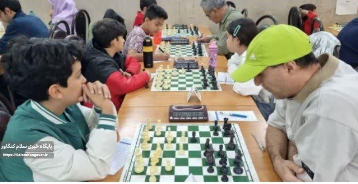 وضعیت شطرنج کرمانشاه مطلوب است