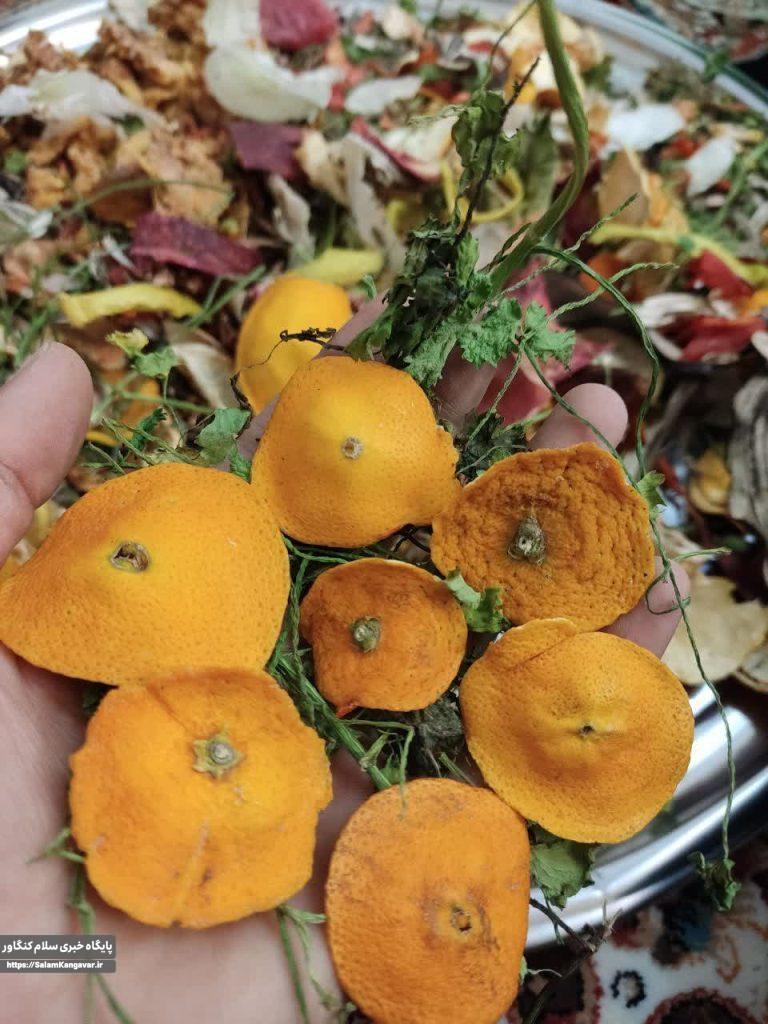 نگاهی به تهیه خشکاله؛ فرصتها و چالشها