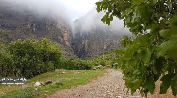 پای سرمایه گذاران به “چالابه” باز می شود؟