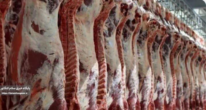 افزایش واردات گوشت قرمز