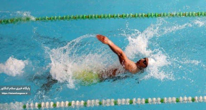 درخشش شناگران کرمانشاهی در رقابتهای ملی