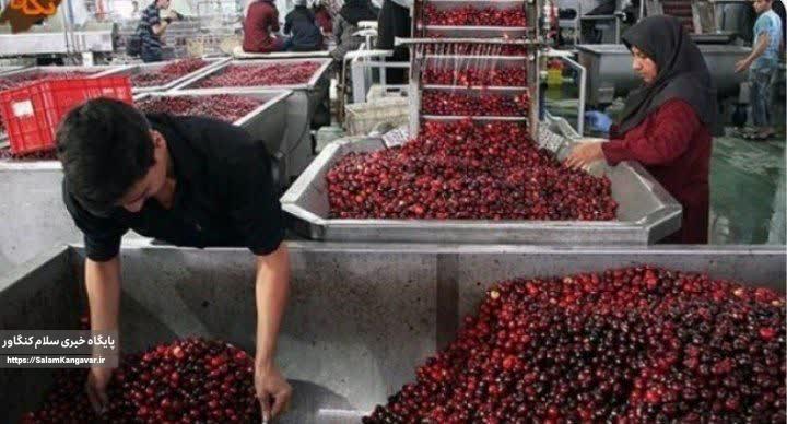 سرمایهگذاری در صنایع تبدیلی کرمانشاه ضروری است