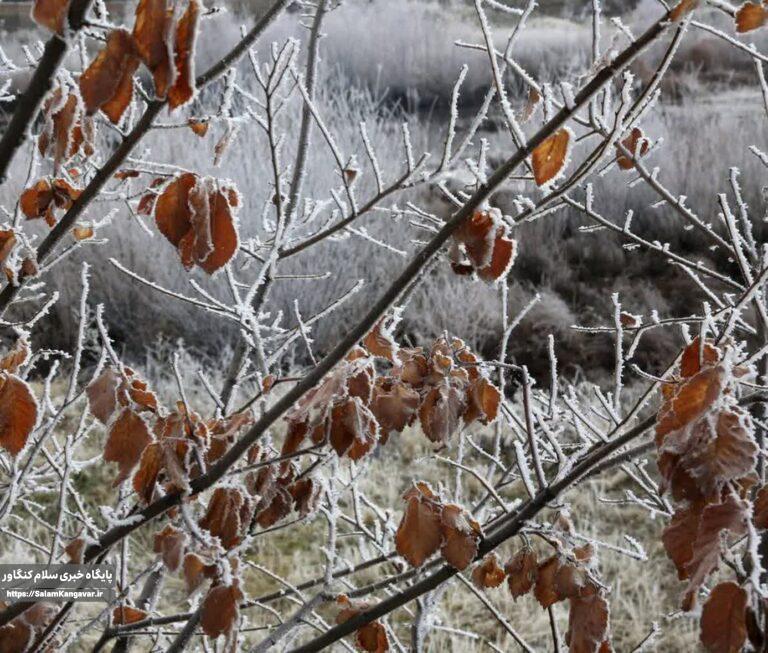 کرمانشاه هفتهای آرام و بدون بارش در پیش دارد