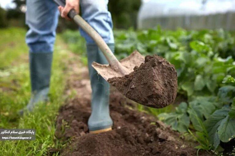 حاصلخیزی اراضی در کرمانشاه با تهدید مواجه است