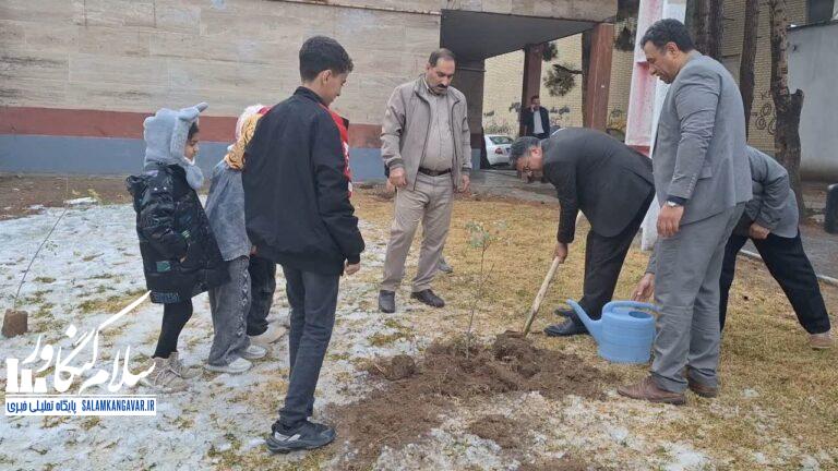 برگزاری پویش نهالکاری به مناسبت میلاد حضرت فاطمه(س) و روز مادر در کنگاور