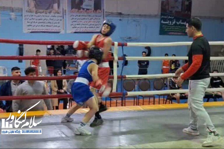 مسابقات بوکس در کنگاور برگزار شد