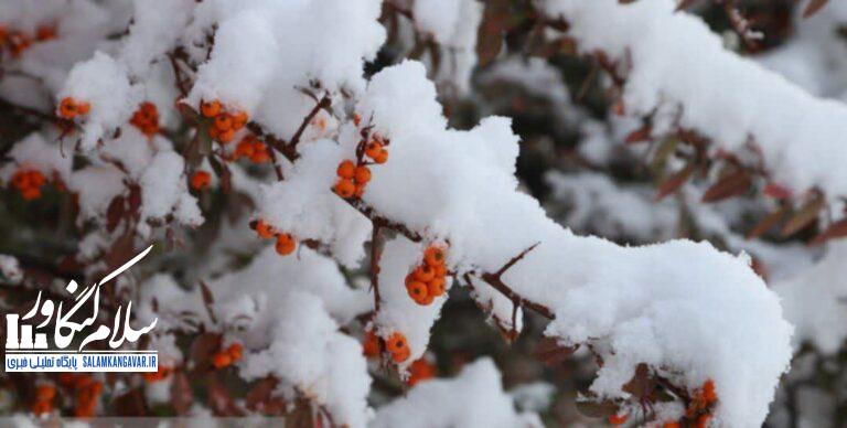 نفوذ ” هوای سرد قطبی” به ایران