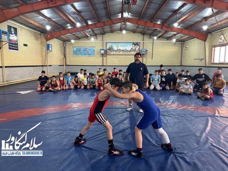 برگزاری مسابقات کشتی خردسالان و نونهالان در کنگاور