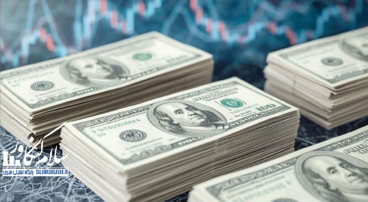 بانک مرکزی ناتوان از کنترل کامل ارز است