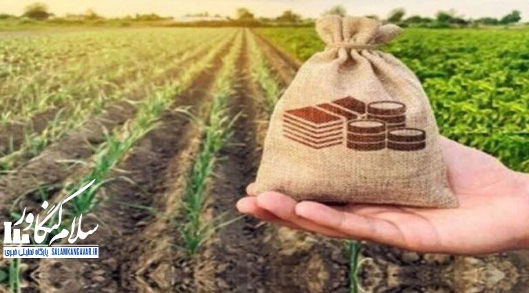 نیازمند تعریف بستههای حمایتی فوری برای حفظ توان تولید کنندگان هستیم