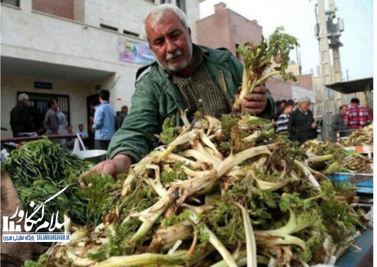 گیاهان بهاری را چگونه مصرف کنیم؟