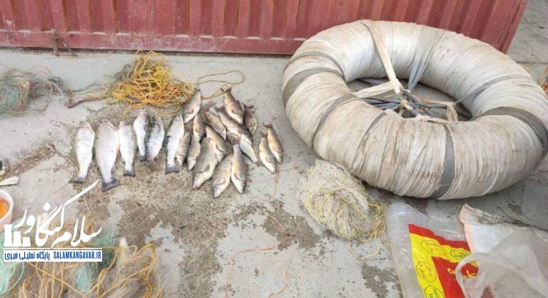 توقیف دو گروه صیاد غیرمجاز