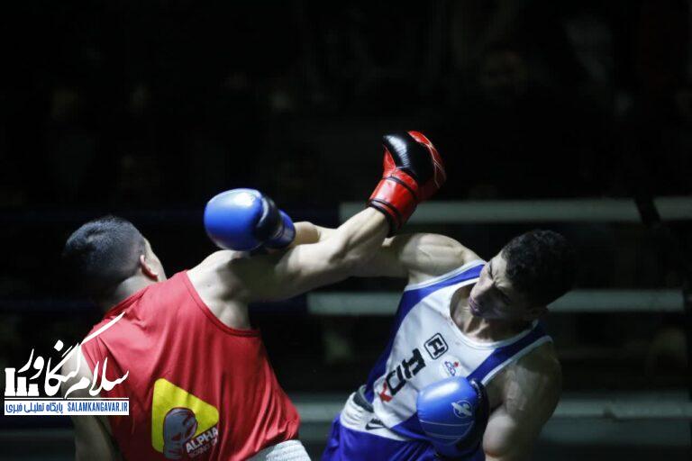 کمبود مسابقات تدارکاتی چالش بوکسورهای کرمانشاهی