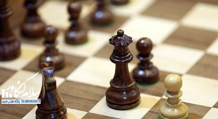 کمبود بازیکن، مانع توسعه شطرنج کرمانشاه است