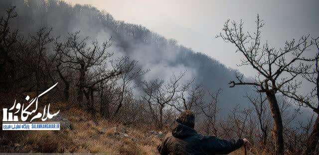 افزایش خطر آتشسوزی در مناطق تحت مدیریت محیط زیست کرمانشاه