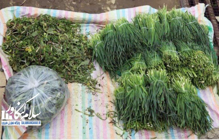 با خواص گیاهان شگفتانگیز بهاری آشنا شوید