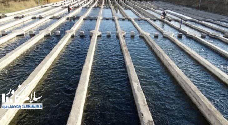 خسارت ۱۱۰ میلیارد تومانی به زیرساختهای شیلات کرمانشاه