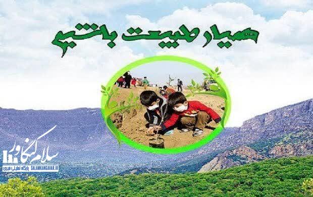 کرمانشاه رکورددار مشارکت مردمی در حفاظت از منابع طبیعی