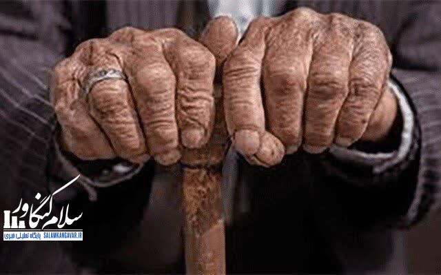 کرمانشاه به سمت سالمندی میرود