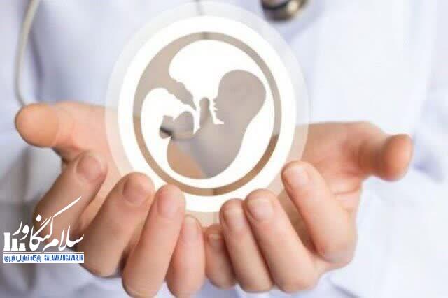 اینجا نقطه امید زوجهای نابارور کرمانشاه است