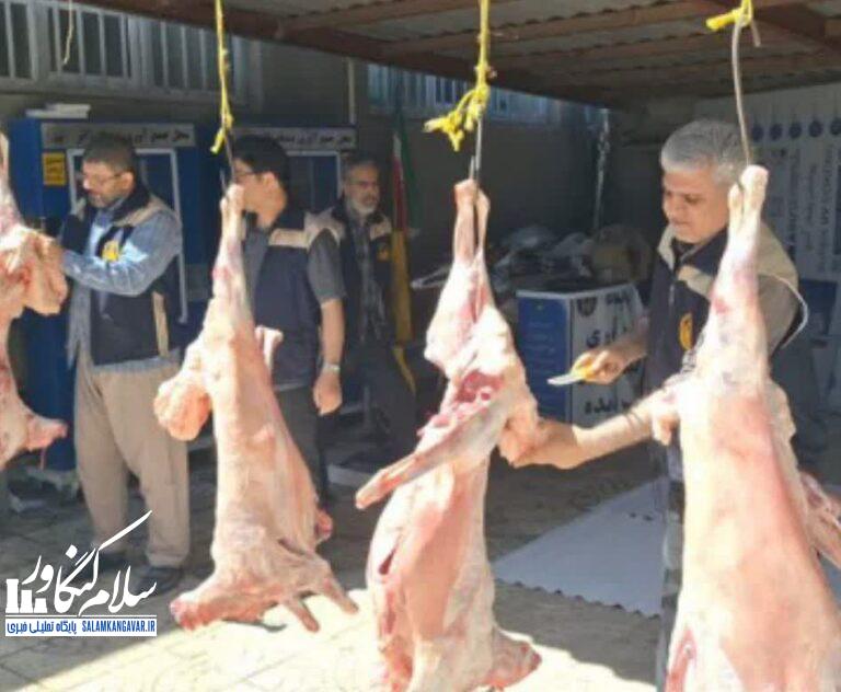 ذبح ۱۰ راس گوسفند و توزیع بین نیازمندان در روز عید قربان