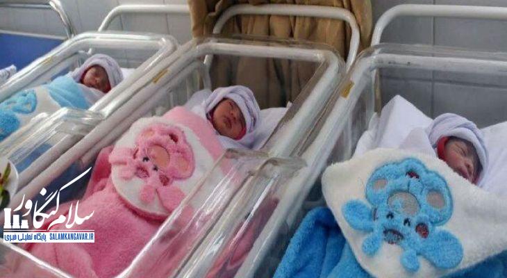 قمار با جان نوزادان برای یک تاریخ رُند
