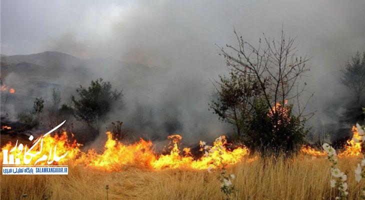 آتشزدن بقایای زراعی جرم است
