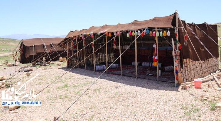 صدای عشایر کرمانشاه شنیده نمیشود